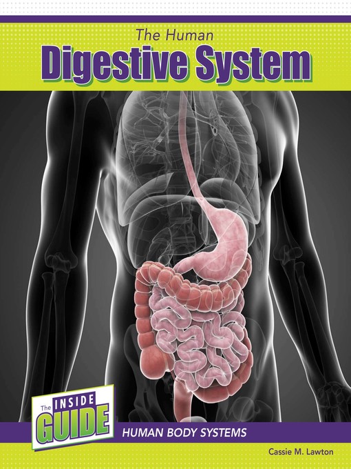 Title details for The Human Digestive System by Cassie M. Lawton - Available